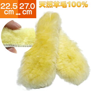 [g C\[ r100 22.5cm-27.0cm E[ V[vXL  RR ӂӂ C\[ [g C V[Y ~ C~ ~ fB[X Y jp p hL 