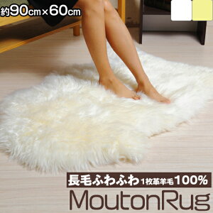 [gO  I[XgAY 1r100 90cm×60cm ~ V[g V[gNbV [g O VR[g VRf E[ V[vXL  RR ӂӂ Ce