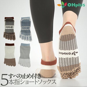 K\bNX seBX\bNX 5{w ~ C   ܐ悠 5{w\bNX t[TCY K KpC fB[X KObY ܐ