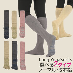 K\bNX seBX\bNX O 5{w m[} ~ C   ܐ悠 5{w\bNX t[TCY K KpC fB[X KObY ܐ