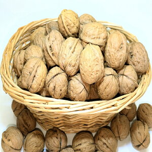  Y 쌧sY MZ(kt) 1000g