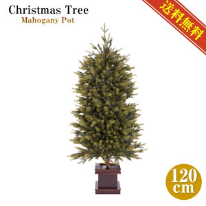 NX}Xc[120cm}zKj[ؐ|bg k     i GKg k[hc[ PE |GXe I[ig XJ[g  B gݗĊȒP |bgc[ N