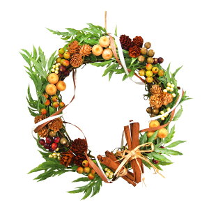 yXőP12{IubNtCf[zI[V[Y[X 25cm Vi i`[X 25cm [X t[AWg i fR[V     i