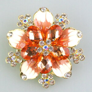 y݌ɏzt@bVu[`E ANZT[  Ǝ  Vv w  Zj[ v[g Mtg obW u[` s  Ǝ  Vv