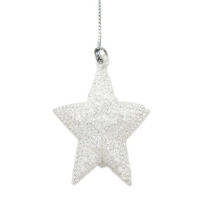 AN~jX^[NX}XI[ig zCg NX}X NX}XI[ig I[ig k AeB[N CeA  킢  Ob^[ LL  