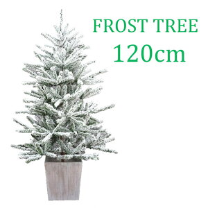 yX[p[SALE ő2000~OFFzEbh|bgtXgNX}Xc[120cm k [bp      i GKg Ch Chc[ k[hc[  tXg I