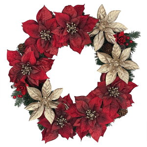 NX}X[X 40cm |CZ`A [X Cbh zCg bh   k i`  i        hA  R VRf   Mtg 