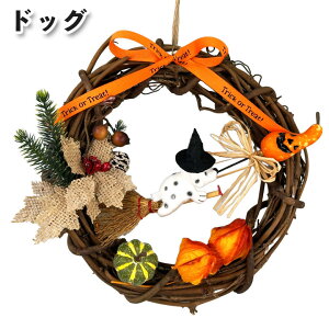 yXőP12{IubNtCf[znEB[XLbg 20cm Lbg J{` pvL  킢   nEB[ t  X G  H C