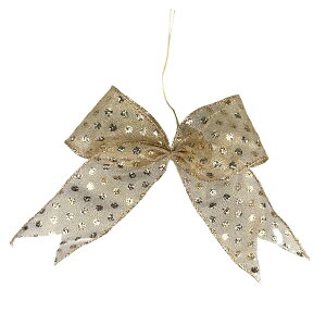 I[ig{ 5{Zbg LL S[WX  킢 NX}Xc[ { NX}X{  gbv _  v[g Mtg   ޗ { p[c 