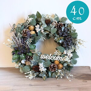 I[V[Y[X 40cm   hA   EFJ i`  Mtg v[g 蕨 CeA fR[V ̓ j a ʔN I[V[Y  t