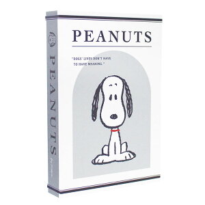 y1Iő1000~N[|zXk[s[ LN^[ ubN^ {bNX tFCNubN }Olbgt PEANUTS zCg s[ibc v[g G P[X CeA {^ V