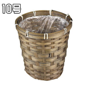 yyVC[OXӍ XőP15{z|PKCJo[ 4 5 6 8 10 |bgJo[ i`   Jo[ CeA ϗtA fBXvC RpNg Vv 