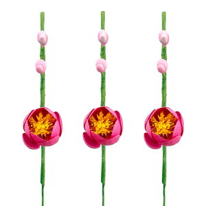 ~̉ԃsbN sN bh zCg 3{Zbg }t VN O  N   e[u  킢   킢 t  B K[fsbN sbN 