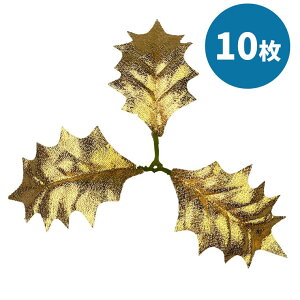 qCM3t S[h 10 tFCNO[ f ޗ i p[c R VR nhCh [X   DIY AW lH t t  tFCNO[ NX}X | VbN 