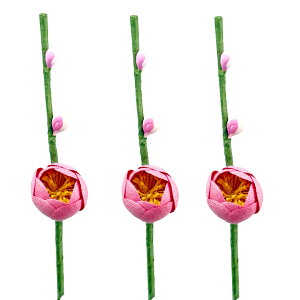 ~̉ԃsbN sN bh zCg 3{Zbg }t VN O  N   e[u  킢   킢 t  B K[fsbN sbN 