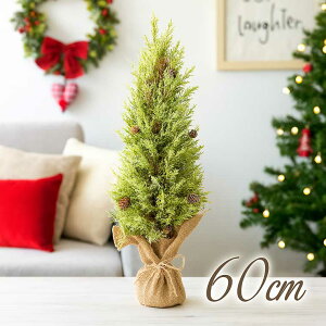 NX}Xc[60cm  u e[u k i`       킢  i    Mtg v[g ~jc[ k[hc[  o[