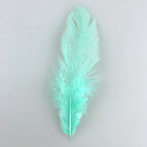 tFU[p[c 30 ~gO[ O[ H [ NX}Xc[ t    Ǌ| Ǐ V p[eB[ObY ߑ ӂӂ