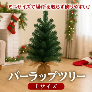 yXőP12{IubNtCf[z~jNX}Xc[LTCY ~jc[ 90cm  u e[u k i`      킢    