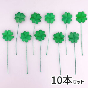 N[o[sbN 10 f ޗ i p[c  tFCN lt lt nhCh [X t[AWg   DIY AW hCt[ t lH t  NX