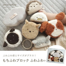 amanoppo 知育玩具 0歳 1歳 2歳 積み木 知育 もちふわブロック ふわふわ＋ ブロック ベビー おもちゃ 布 プレゼント 玩具 洗濯可 出産祝い ラトル 赤ちゃん 子ども 出産祝い 洗える ぬいぐるみ 安全 あまのっぽ