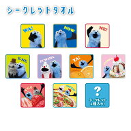 【最大500円OFFクーポン★5/9(土)20:00-5/16(土)01:59】パペットスンスン ミニタオル シークレット スン…