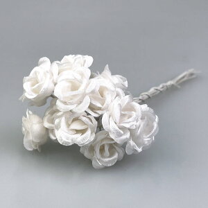 r[Yt~j[Y 12{Zbg zCg u[  KN [Y ԑ  ޗ i A H  DIY AWg  t[AWg A[gt[ [X t 