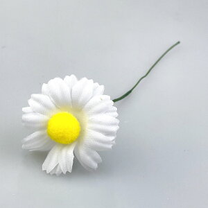 yX[p[SALE ő2000~OFFzfCW[ 6{Zbg zCg CG[ IW  ԑ  ޗ i A H  [X t[AWg A[gt[ [X  