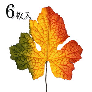 y1Iő1000~N[|zgtsbN 6  tFCNO[ ~j AWg  fR[V  ޗ  H nhCh  DIY H [X 