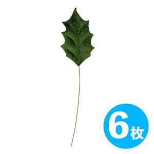 AU[1t 6 f ޗ i p[c R VR nhCh [X t[AWg   AW t lH t  tFCNO[  {i NX}X 