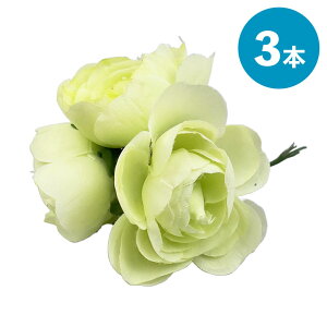 y1Iő1000~N[|ziLX 3{Zbg   ޗ i H  DIY AWg  [X A[gt[ [X  t fR[V