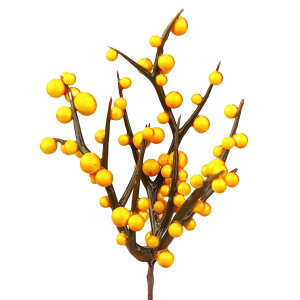 y1Iő1000~N[|zCG[x[sbN K[fsbN f ޗ i p[c R VR nhCh [X   H  F  U DIY AW Ԃ 