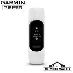 GARMIN y{Kiz rv Y EHb` OHMICHI watch K[~ h Ki vivosmart 5 wSv𓋍ڂANeBreBgbJ[ 010-02645-61
