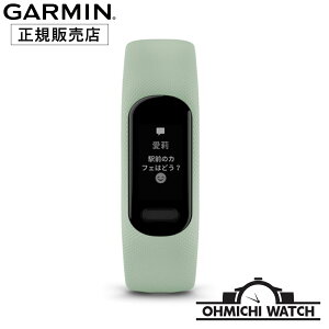 GARMIN y{Kiz rv Y EHb` OHMICHI watch K[~ h Ki vivosmart 5 wSv𓋍ڂANeBreBgbJ[ 010-02645-62