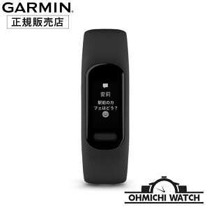 GARMIN y{Kiz rv Y EHb` OHMICHI watch K[~ h Ki vivosmart 5 wSv𓋍ڂANeBreBgbJ[ 010-02645-64