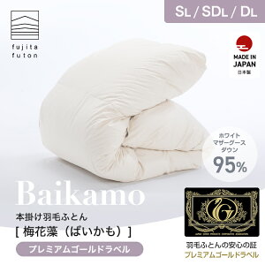 yH꒼cXzHѕzc {|u~ԑvv~AS[hx 100% VOO _uO yĒg | 3ȓ̂͂ ߍ]ӂƂ Y { |[hY z