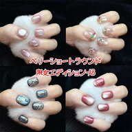 OHMI GALLERY ネイルチップ つけ爪 マグネットネイル 限定エディション 一期一会 再販なし グラデーショ…