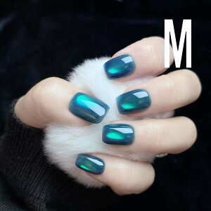 OHMI GALLERY �l�C���`�b�v ���� �}�O�l�b�g�l�C�� �V���[�g�X�N�G�A XS/S/M/L NTSSMRSea �ڗ��̊C #08