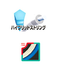 y\tgejXzlbNX |t[W ejXpKbg SGPF-116