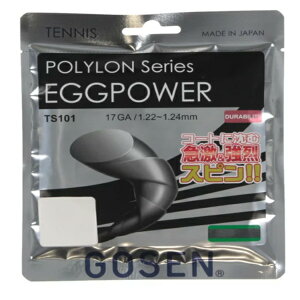 S[Z GOSEN ts101-bk GbOp[ 17 dejX XgO