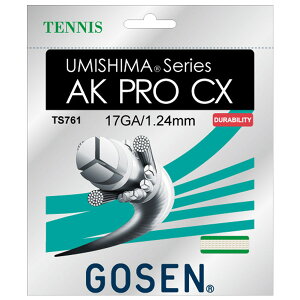 �S�[�Z�� GOSEN ts761-na �e�j�X �E�~�V�} AK �v�� CX 17