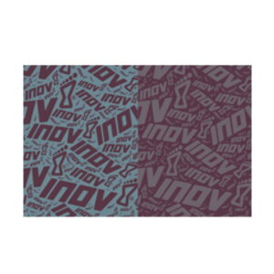 fTg DESCENTE WRAG tFCX}XN NOAMGX01-BGP(u[O[/p[v)