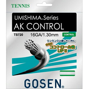 �S�[�Z�� GOSEN ts720w �e�j�X�X�g�����O �e�j�X�o�h�p�i �X�g�����O
