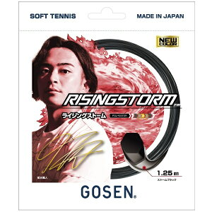 S[Z GOSEN RISINGSTORM Xg[ubN \tgejXKbg SSRS11SB-SB(Xg[ubN)