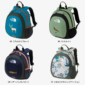 UEm[XEtFCX THE NORTH FACE z[XCXiLbYj WjAX|[cobOEAEghAobO NMJ72361 m[XtFCX