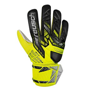 CV REUSCH AgNg \bh WjA WjAL[p[O[u 5562515-2014(ZCteBCG[/Vo[)