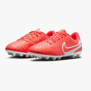 iCL Nike WjA eBG| WFh 10 AJf~[ HG WjATbJ[XpCN DV4349-800(zbgo/zCg)