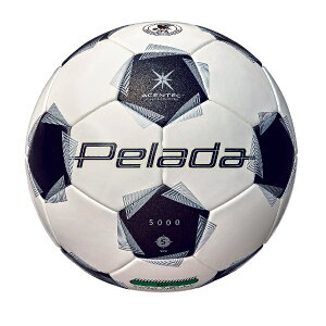 �����e�� molten �y���[�_5000�ŗp�i5�����j �T�b�J�[�{�[�� F5K5000(�X�m�[�z���C�g�p�[��×���^���b�N�u���b�N)