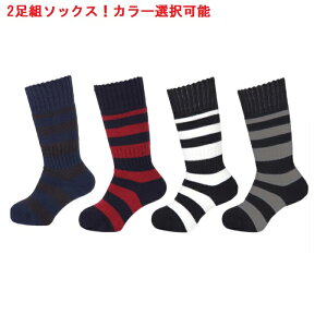 XL[\bNX 2g WjAp J[Iׂ SKISOCKS GrXjbg m[Xs[N  g NbV \bNX qpTCY MP-699