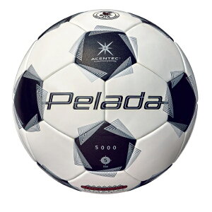 �����e�� molten �y���[�_5000�y�p�i5�����j �T�b�J�[�{�[�� F5K5001(�X�m�[�z���C�g�p�[��×���^���b�N�u���b�N)