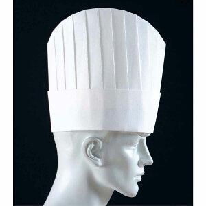 �p���X�n�b�g(10����)PH-115NT ���^ 25cm�@����